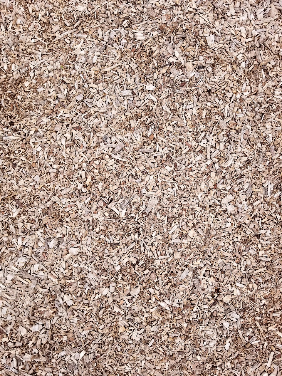 pellet